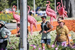 BIB: 
                            <button type="button" onclick="openModal(27793281)" class="btn btn-primary btn-sm float-right btn-popup" data-toggle="modal" data-target=".modal-high-quality">
                        <i class="fas fa-shopping-cart"></i> Add to Cart
                    </button>
                                            <button type="button" onclick="isThisMe(27793281, true)" class="btn btn-success btn-sm float-right btn-popup btn-isme hidden" data-toggle="tooltip" data-placement="bottom" title="นี่คือรูปของคุณใช่ไหม คลิกที่นี่เพื่อเอาเข้าอัลบั้ม">
                        <i class="fas fa-plus"></i> Add to album
                    </button>
                    <button type="button" onclick="isThisMe(27793281, false)" class="btn btn-warning btn-sm float-right btn-popup btn-isnotme hidden">
                        <i class="fas fa-ban"></i> Remove from album
                    </button>